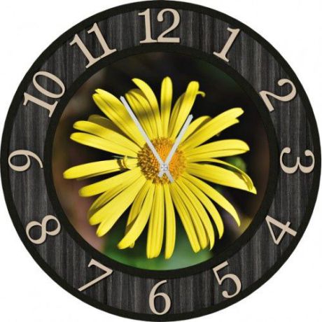 Настенные часы Kitch Clock 3502245