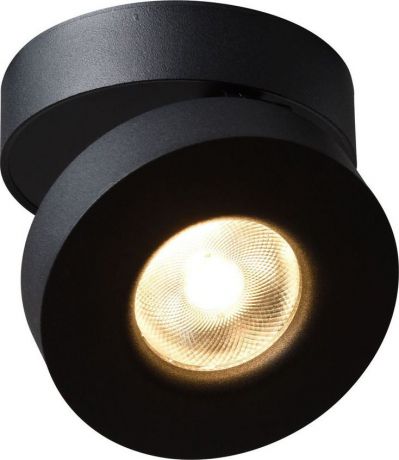 Потолочный светильник Arte Lamp Vela, A2511PL-1BK, черный