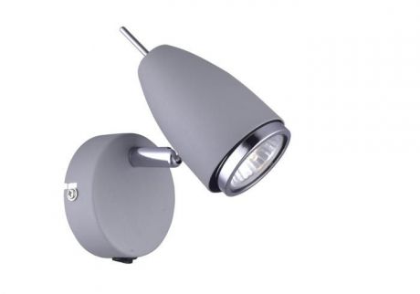 Настенно-потолочный светильник Arte Lamp A1966AP-1GY, серый