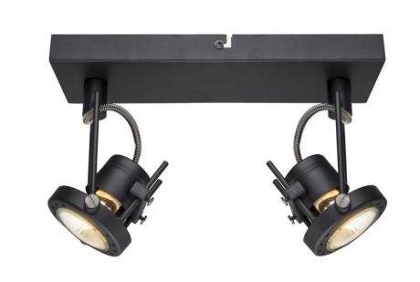 Настенно-потолочный светильник Arte Lamp A4300AP-2BK, черный