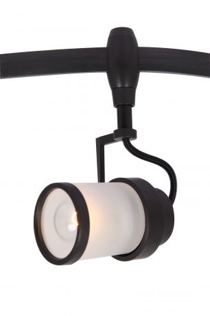 Настенно-потолочный светильник Arte Lamp A3056PL-1BK, черный