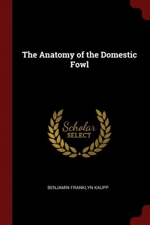 Benjamin Franklyn Kaupp The Anatomy of the Domestic Fowl