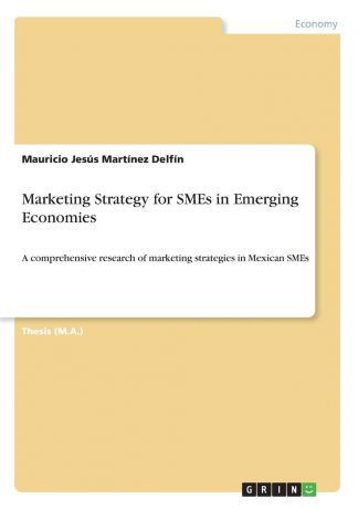 Mauricio Jesús Martínez Delfín Marketing Strategy for SMEs in Emerging Economies