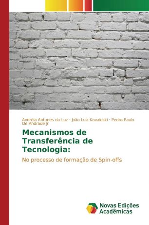 Antunes da Luz Andréia, Kovaleski João Luiz, De Andrade Jr Pedro Paulo Mecanismos de Transferencia de Tecnologia