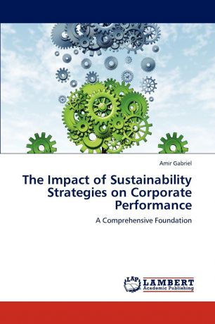 Gabriel Amir The Impact of Sustainability Strategies on Corporate Performance