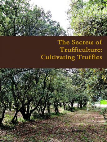 Vincent Bailleu The Secrets of Trufficulture. Cultivating Truffles