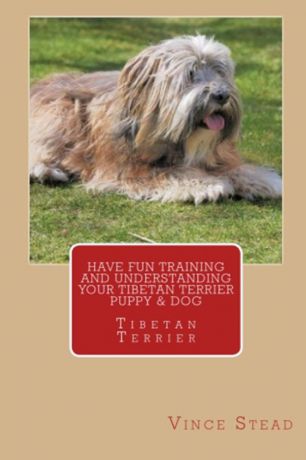 Vince Stead Have Fun Training and Understanding Your Tibetan Terrier Puppy . Dog