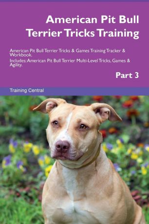 Training Central American Pit Bull Terrier Tricks Training American Pit Bull Terrier Tricks . Games Training Tracker . Workbook. Includes. American Pit Bull Terrier Multi-Level Tricks, Games . Agility. Part 3
