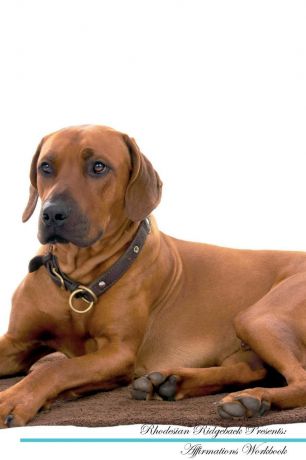 Live Positivity Rhodesian Ridgeback Affirmations Workbook Rhodesian Ridgeback Presents. Positive and Loving Affirmations Workbook. Includes: Mentoring Questions, Guidance, Supporting You.