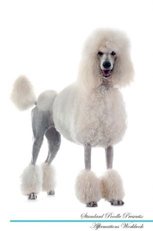 Live Positivity Standard Poodle Affirmations Workbook Standard Poodle Presents. Positive and Loving Affirmations Workbook. Includes: Mentoring Questions, Guidance, Supporting You.
