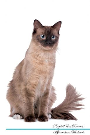 Live Positivity Ragdoll Cat Affirmations Workbook Ragdoll Cat Presents. Positive and Loving Affirmations Workbook. Includes: Mentoring Questions, Guidance, Supporting You.