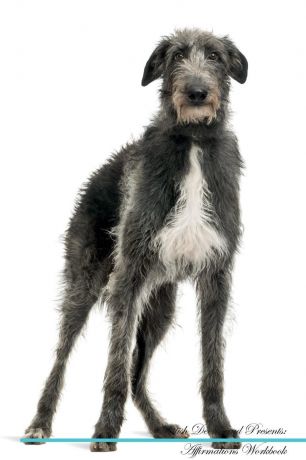 Live Positivity Scottish Deerhound Affirmations Workbook Scottish Deerhound Presents. Positive and Loving Affirmations Workbook. Includes: Mentoring Questions, Guidance, Supporting You.