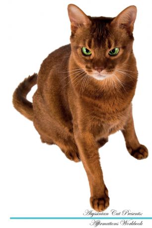 Live Positivity Abyssinian Cat Affirmations Workbook Abyssinian Cat Presents. Positive and Loving Affirmations Workbook. Includes: Mentoring Questions, Guidance, Supporting You.