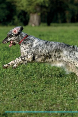 Live Positivity English Setter Affirmations Workbook English Setter Presents. Positive and Loving Affirmations Workbook. Includes: Mentoring Questions, Guidance, Supporting You.