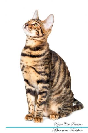 Live Positivity Toyger Cat Affirmations Workbook Toyger Cat Presents. Positive and Loving Affirmations Workbook. Includes: Mentoring Questions, Guidance, Supporting You.