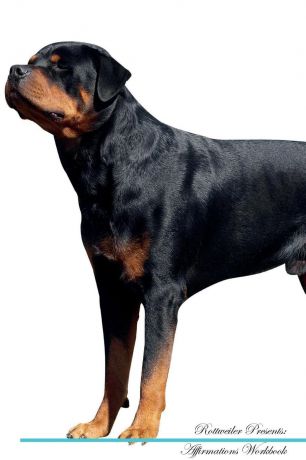 Live Positivity Rottweiler Affirmations Workbook Rottweiler Presents. Positive and Loving Affirmations Workbook. Includes: Mentoring Questions, Guidance, Supporting You.