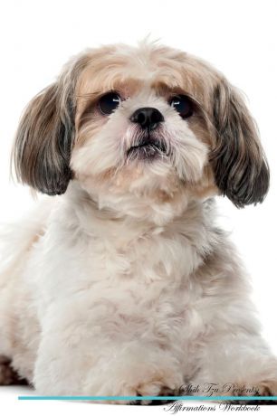 Live Positivity Shih Tzu Affirmations Workbook Shih Tzu Presents. Positive and Loving Affirmations Workbook. Includes: Mentoring Questions, Guidance, Supporting You.