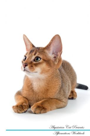 Live Positivity Abyssinian Cat Affirmations Workbook Abyssinian Cat Presents. Positive and Loving Affirmations Workbook. Includes: Mentoring Questions, Guidance, Supporting You.