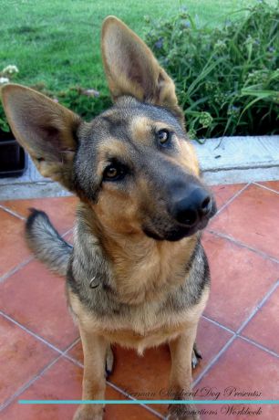 Live Positivity German Shepherd Dog Affirmations Workbook German Shepherd Dog Presents. Positive and Loving Affirmations Workbook. Includes: Mentoring Questions, Guidance, Supporting You.