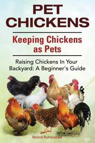 Roland Ruthersdale Pet Chickens. Keeping Chickens as Pets. Raising Chickens In Your Backyard. A Beginners Guide.