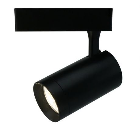 Настенно-потолочный светильник Arte Lamp A1720PL-1BK, черный