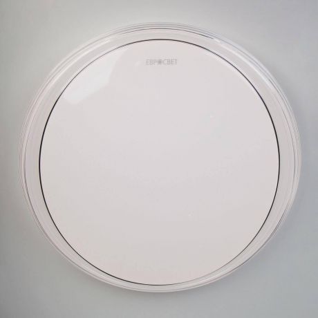 Потолочный светильник Eurosvet 40008/1 LED белый, белый