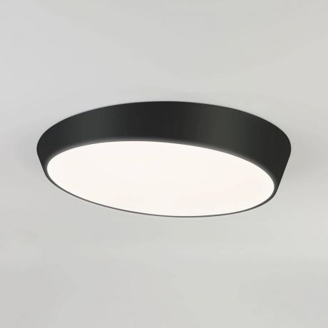 Потолочный светильник Eurosvet 90114/1 черный, черный