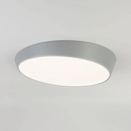 Потолочный светильник Eurosvet 90114/1 серый, серый