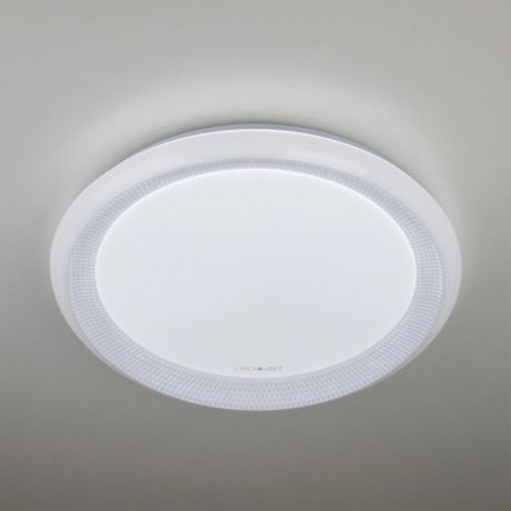 Потолочный светильник Eurosvet 40013/1 LED белый, белый