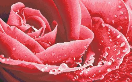 Алмазная мозаика Яркие Грани "Розовая роса" (DS300), размер 75х47см, 18 цветов