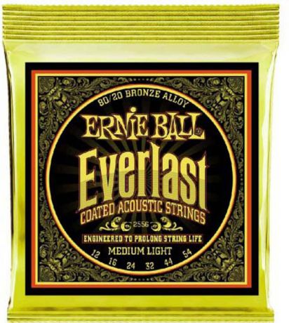 Струны для акустической гитары Ernie Ball Everlast 80/20 Bronze Medium Light (12-16-24w-32-44-54), P02556
