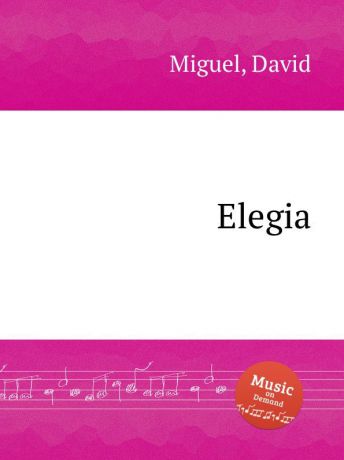 D. Miguel Elegia