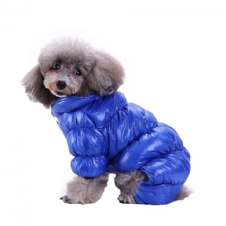 Одежда для собак Arnydog.ru Комбинезон Зима синий MQ-26_M, синий