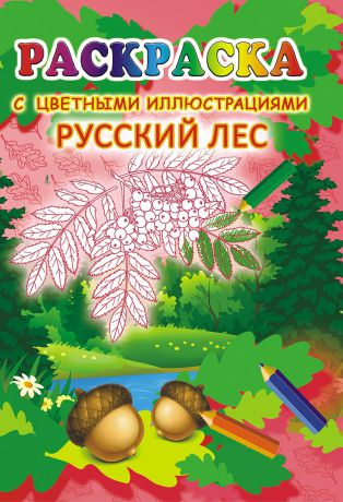 ЛиС Раскраска Русский лес