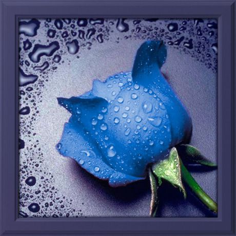 Картина стразами Алмазная Живопись "Синяя роза" (АЖ-15), 15 цветов, 22х24 см