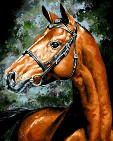 Набор для рисования по номерам Цветной "Конь Эмерико Имре Тота", 40 x 50 см