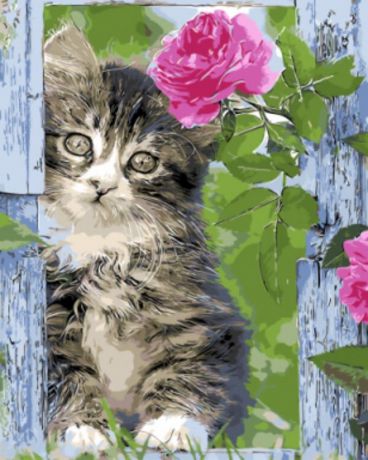 Набор для рисования по номерам Цветной "Котенок и роза ", 40 x 50 см