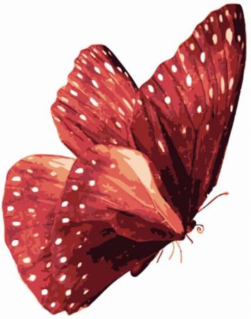 Набор для рисования по номерам Цветной "Бабочка Красный монарх", 20 x 30 см