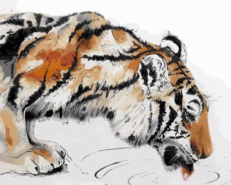 Набор для рисования по номерам Цветной "Тигр на водопое", 30 х 40 см