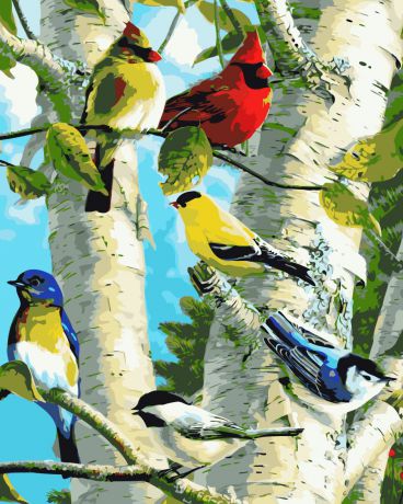 Набор для рисования по номерам Цветной "Птички на березе", 40 x 50 см