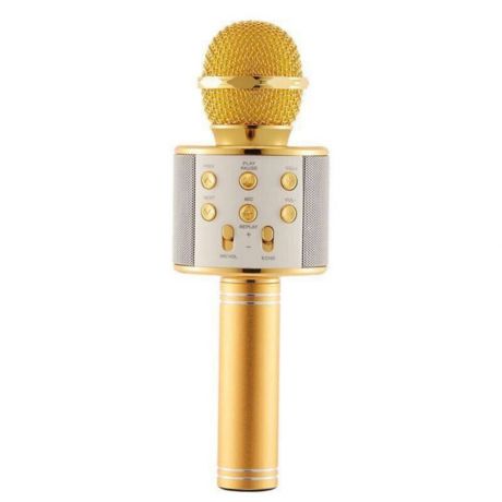Микрофон Wster 858, 4594, золотой