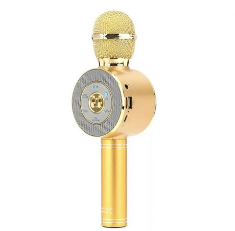 Микрофон Wster Ws-668 gold, золотой