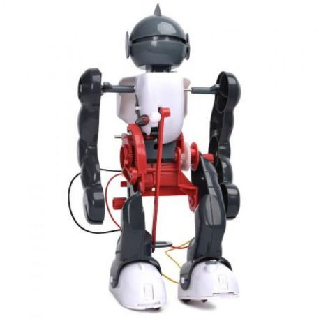 Игрушечный робот KAKADU RoboGym1