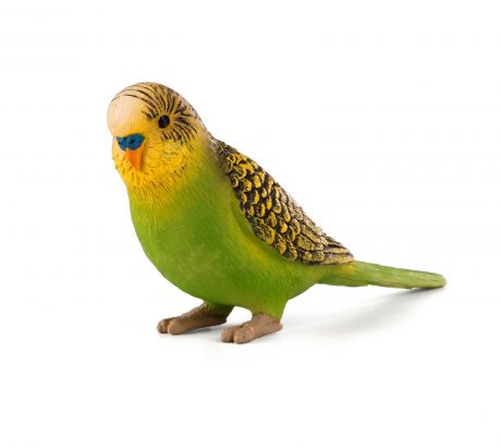387262 Фигурка Mojo (Animal Planet)-Волнистый попугайчик, цвет: зеленый (S)