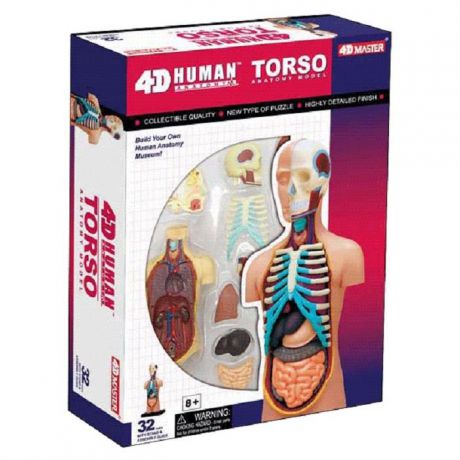 Набор для опытов 4D Master Торс человека Объемная анатомическая модель пазл