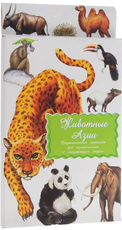 Маленький гений-Пресс Обучающие карточки Животные Азии