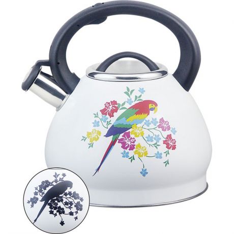 Чайник со свистком Rainstahl RSWK 7628-30, с декором, меняет цвет, цвет:белый, 3,0 л