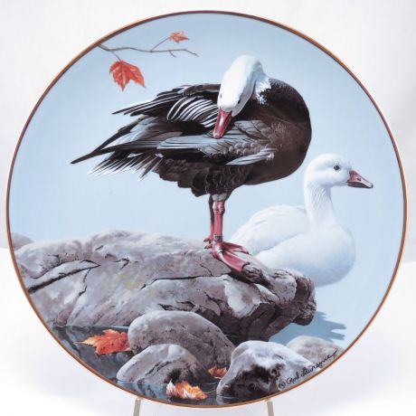 Декоративная тарелка "Американские Водоплавающие Птицы: Белый гусь". Фарфор, деколь, золочение. США, The Hamilton Collection, Род Лоуренс, 1988