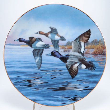 Декоративная коллекционная тарелка "Птицы Севера: В Полёте. Морская Чернеть", фарфор, деколь, золочение