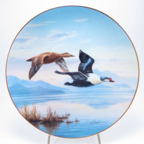 Декоративная коллекционная тарелка "Птицы Севера: Прилет. Гага-Гребенушка", фарфор, деколь, золочение